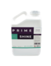 Prime Shine